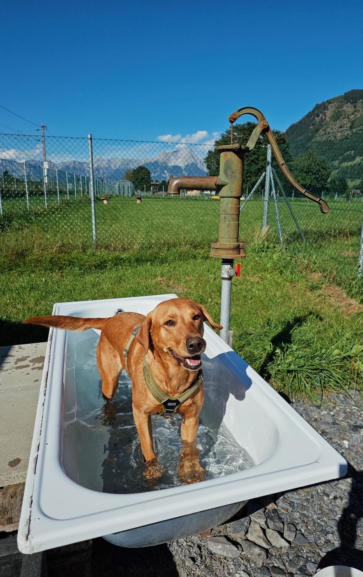 Chaletdorf Zellersee Maishofen Exterior foto